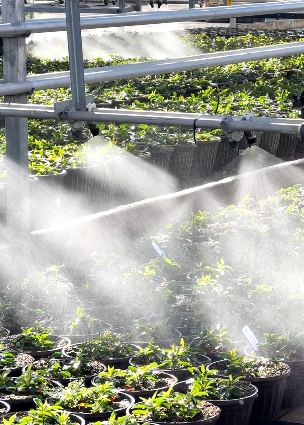 boom-watering-greenhouse-2b.jpg