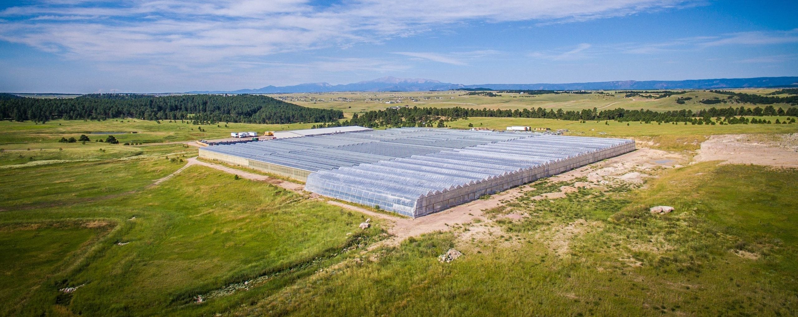 lush-and-rare-greenhouse-drone-shot.jpg